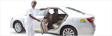 Verified Chauffeurs